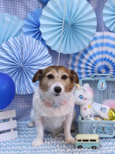 20231115こはるちゃん